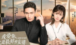 女总裁的电视剧,女总裁的商战传奇